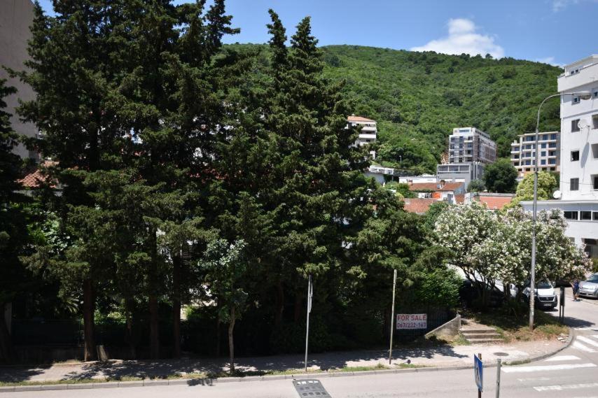 Dimitrije *